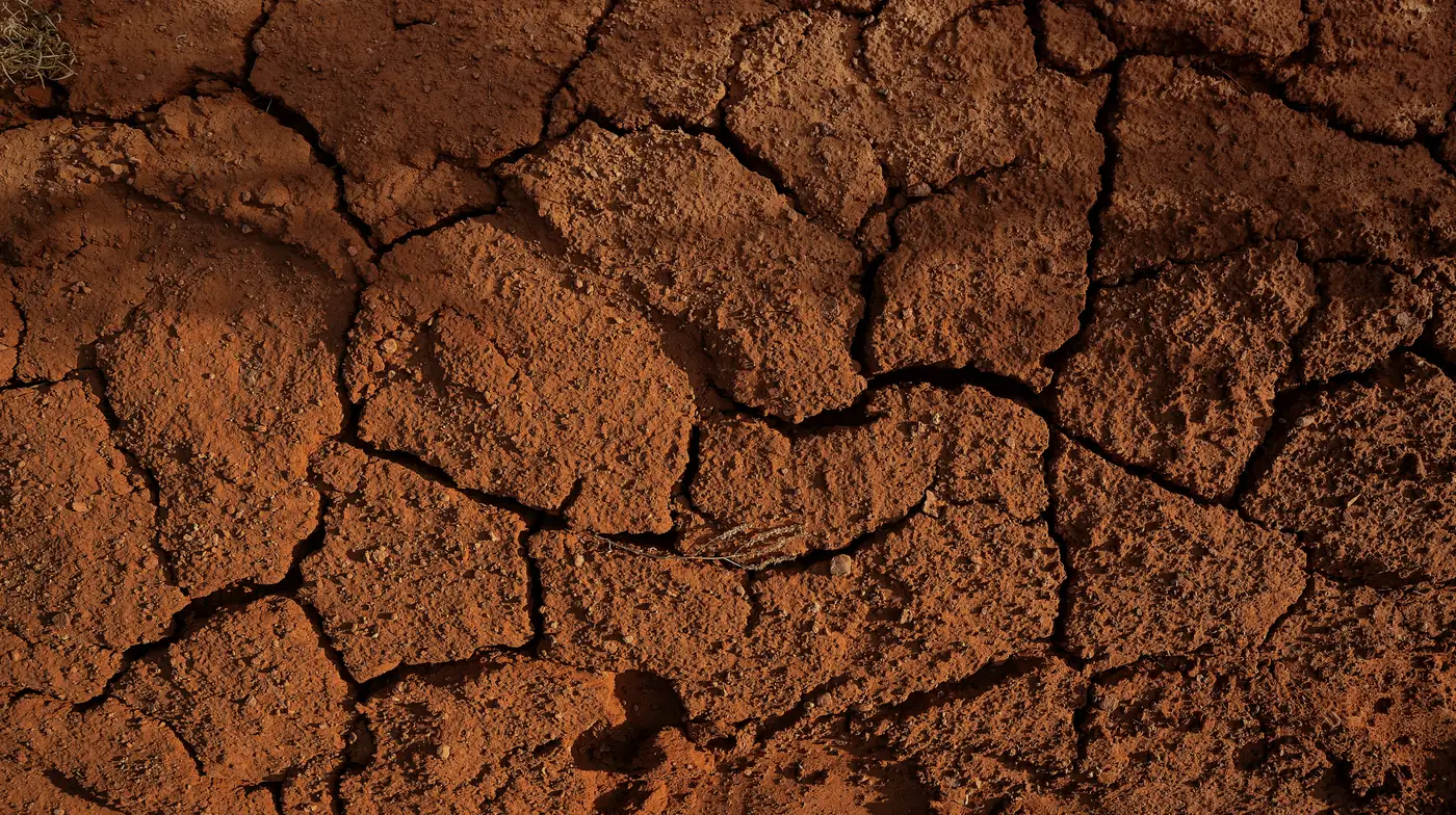 Dry, cracked clay soil seen from above